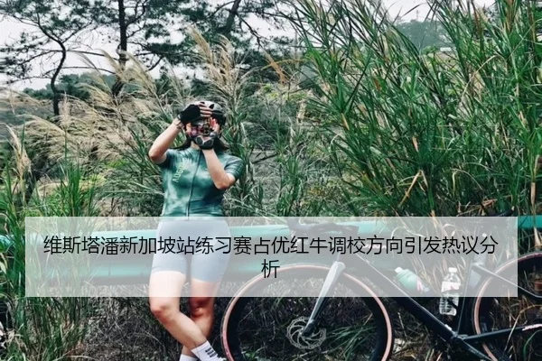 维斯塔潘新加坡站练习赛占优红牛调校方向引发热议分析